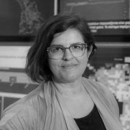 aufantopoulou